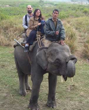 Assam Agriculture Minister Atul Bora inaugurates elephant safari in Kaziranga