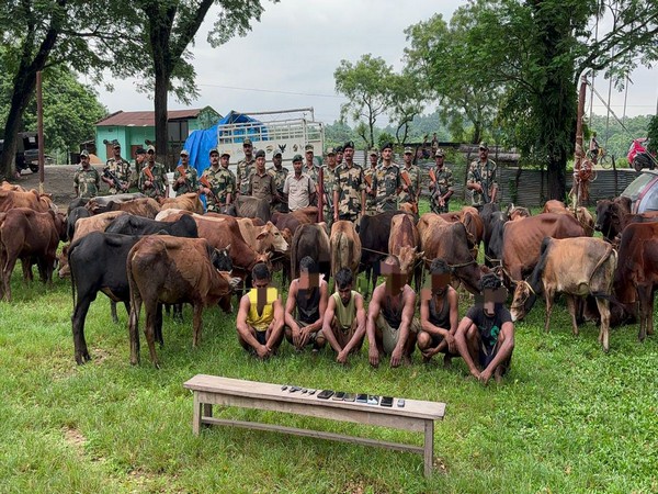 Meghalaya: BSF thwarts cattle smuggling attempt at International border; six Indians detained