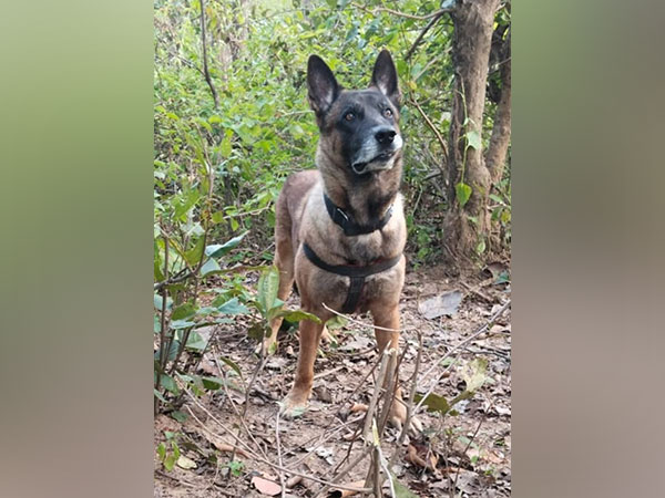 CRPF launches online platform for public adoption of retired sniffer, assault dogs