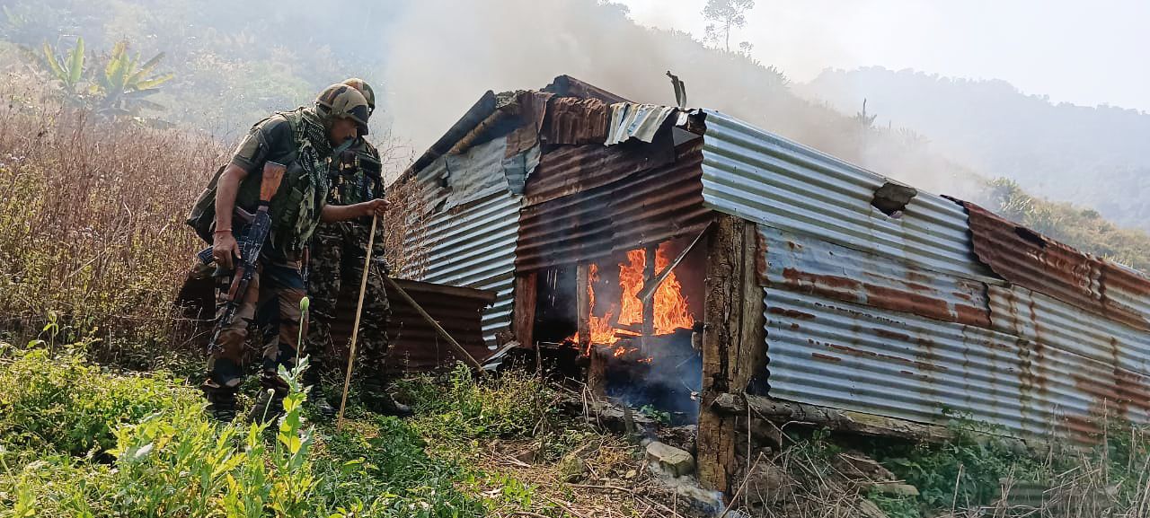 manipur-security-forces-destroy-illicit-poppy-cultivation-in-kangpokpi