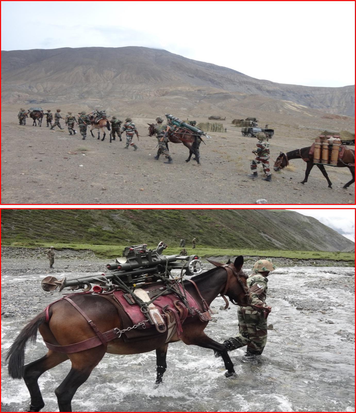 Indian Army commemorates legacy of Animal Transport (Mountain Artillery) Units with special day cover release