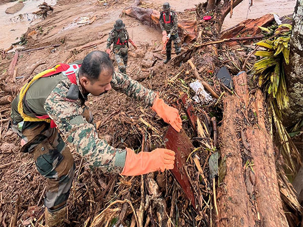 Wayanad landslides: Search operation enters Day 5, death toll at 308