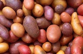 true-potato-seed-how-the-innovative-hybridization-method-is-helping-potato-farmers-in-tripura