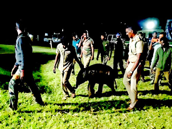 tamil-nadu-forest-department-rescues-elephant-calf-separated-from-mother