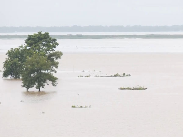 Floods in Assam claim 46 lives as situation remains critical affecting more than 16 lakh people
