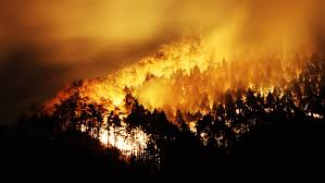 massive-forest-fire-expands-in-japan-putting-more-homes-at-risk