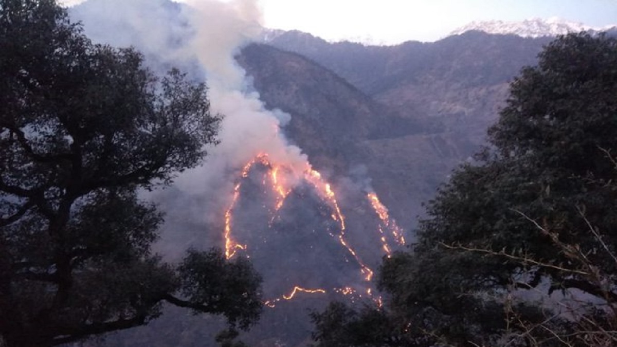 himachal-over-1500-forest-fire-incidents-reported-13000-hectares-damaged