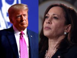 US elections: Over 60 million cast early votes; Harris and Trump in tight contest i..