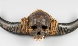 UK auction house removes ‘Naga skull’ from listings