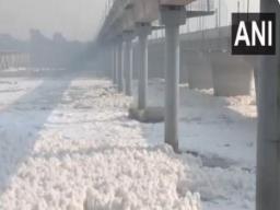 Delhi: Toxic foam seen floating on Yamuna River in Kalindi Kunj area