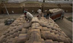 India’s PDS Leakage Hits INR 69,108 Crore, With 29 Per Cent Grains Missing Benefici..