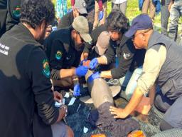 India conducts first-ever Ganges River Dolphin tagging in Assam