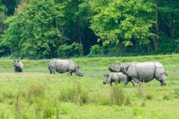 Kaziranga National Park is fully prepared to tackle flood situation, says official