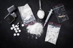 Mizoram Police destroys drugs worth over INR 154 crore