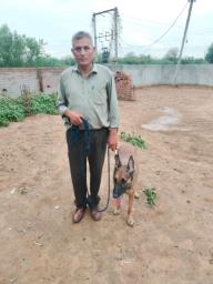 Citizen and dog named Chaser save abandoned baby in Ahmedabad