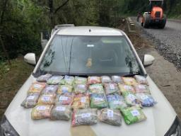 Nagaland Police seize narcotic drugs, psychotropic substances worth INR 30.05 cr in..