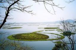 CM Yogi stresses need to preserve Ramsar sites, recognises their potential for loca..