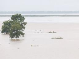 Floods in Assam claim 46 lives as situation remains critical affecting more than 16..